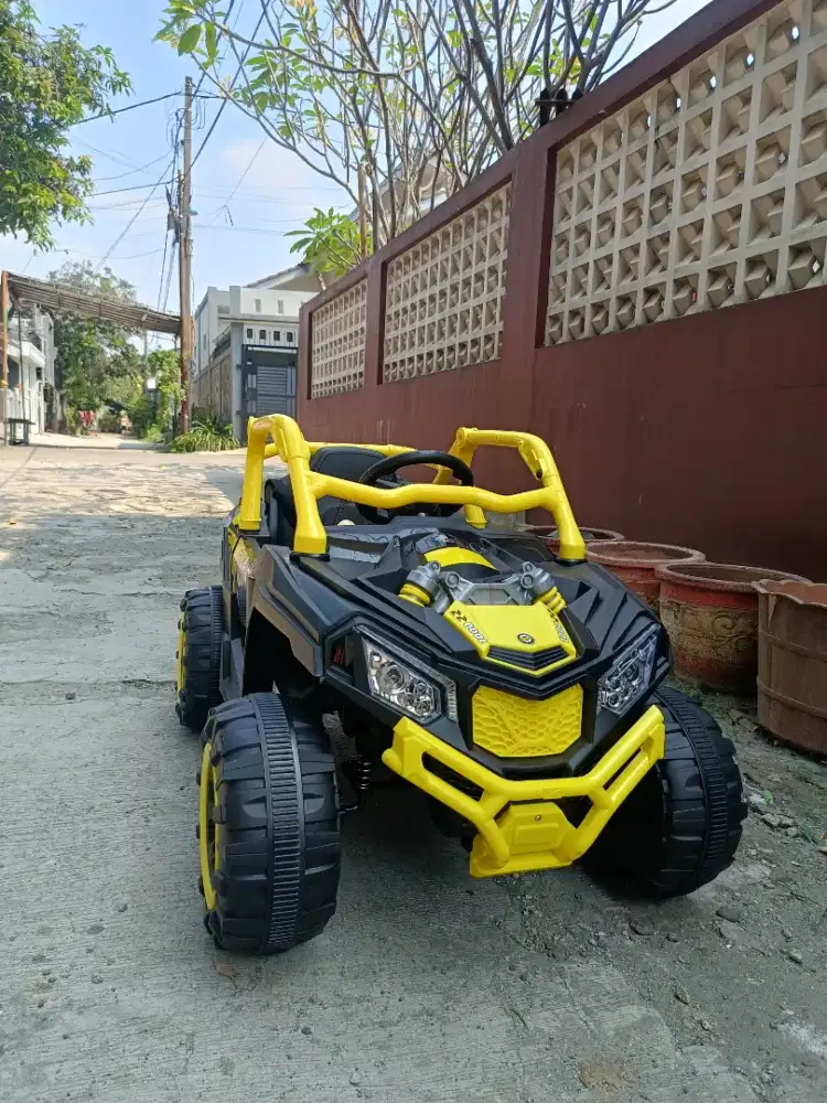 COD Mobil Aki Remote Anak Camion