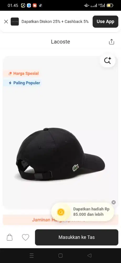 Topi lacoste original