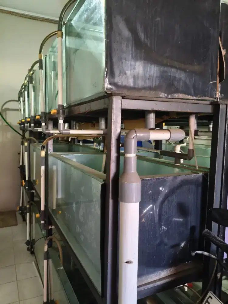 Aquarium Bekas Ternak Ikan Hias