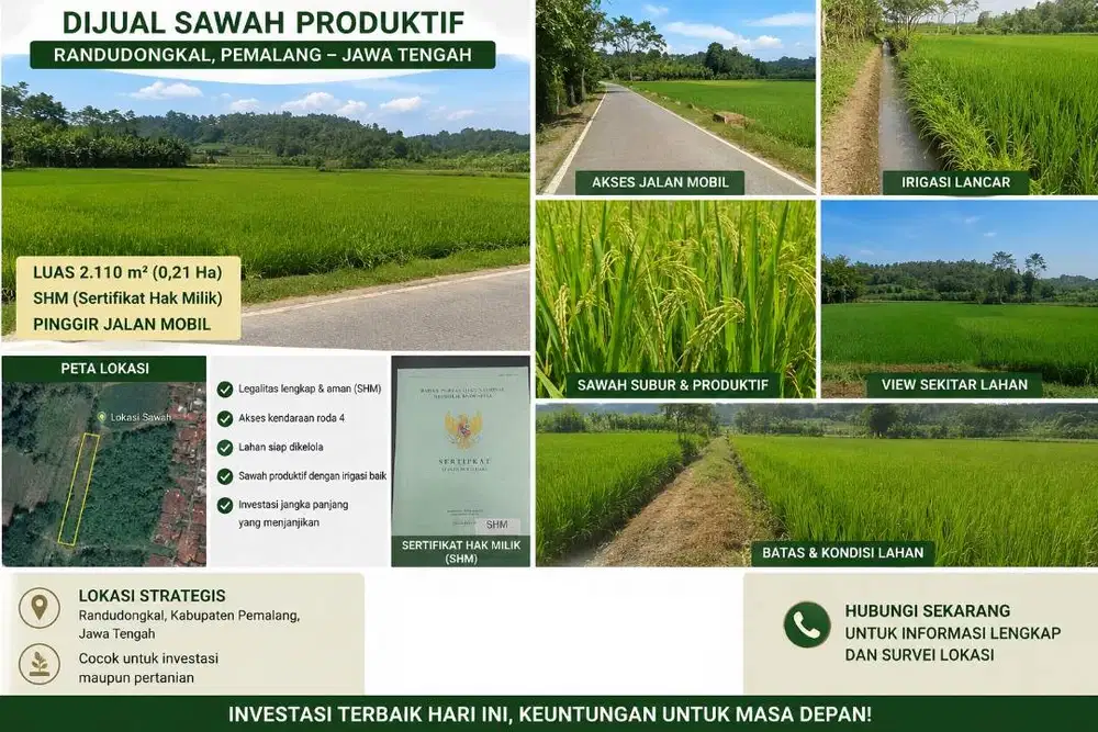 DIJUAL SAWAH PRODUKTIF – RANDUDONGKAL, PEMALANG