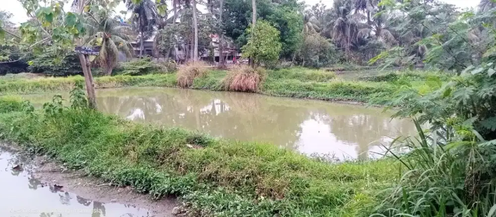 Tanah empang Produktif, SHM di Pabuaran Cibinong