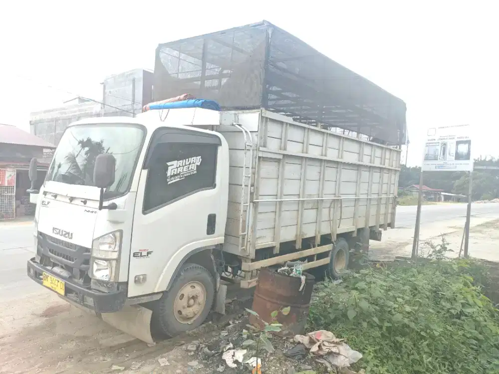 ISUZU NMR81THD5. 8+BAK KAYU