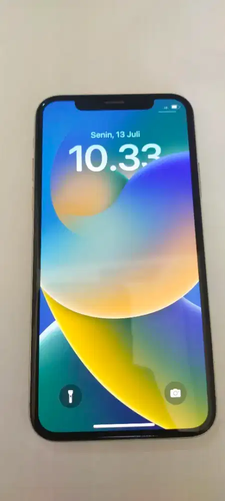 iphone x 256gb inter
