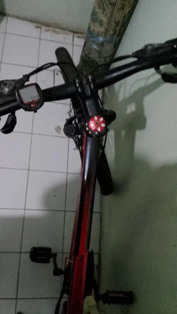 Sepeda Gunung Evergreen Ranger530