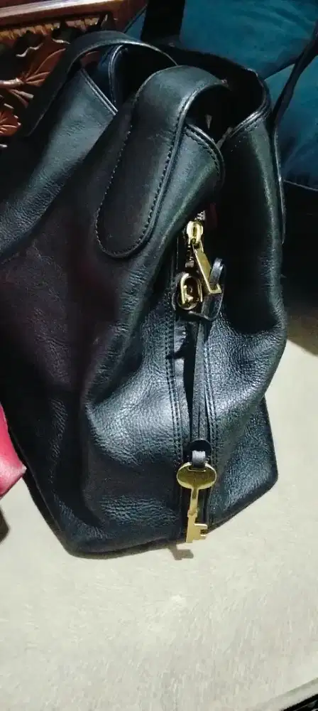 Tas fosil msh bgs