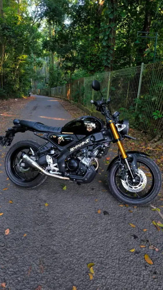 Yamaha XSR 155 Gress