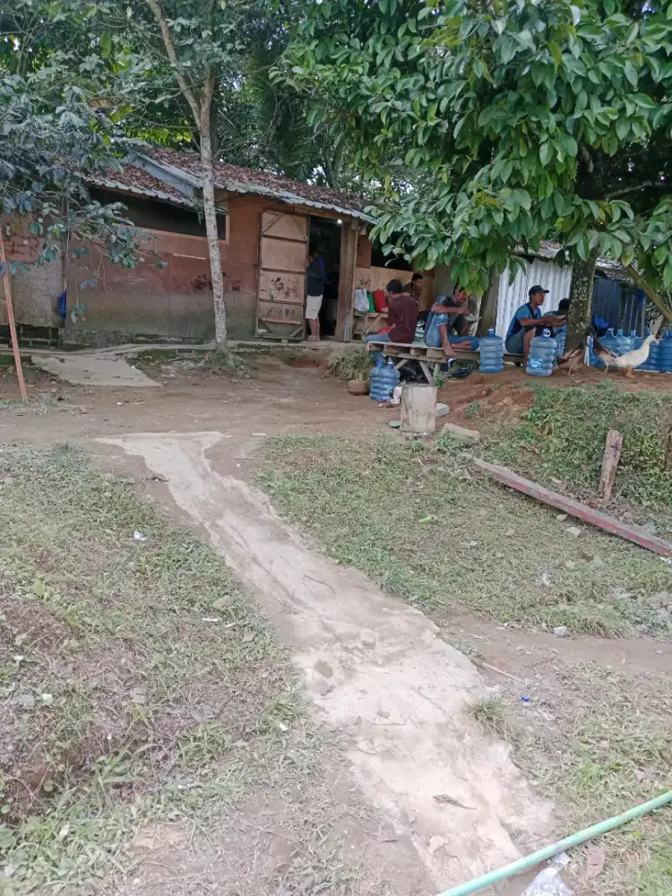 koki warung proyek khusus cewek dapat  mes+  makan 3x + kebuhan mandi