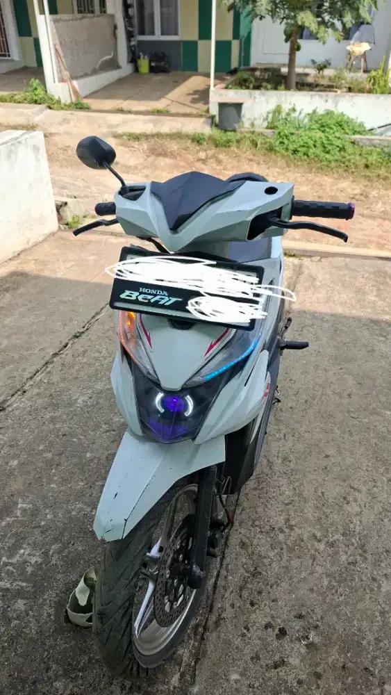 Beat 2019 plar Z