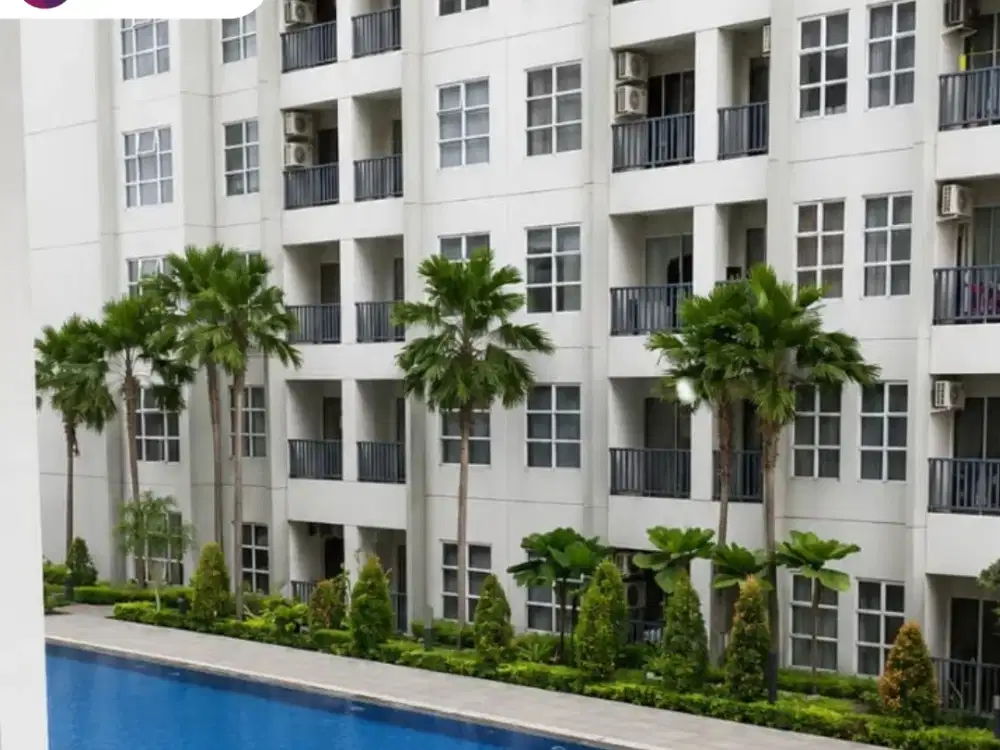 Di Sewakan Apartemen Saveria Bsd City Cisauk Tangerang