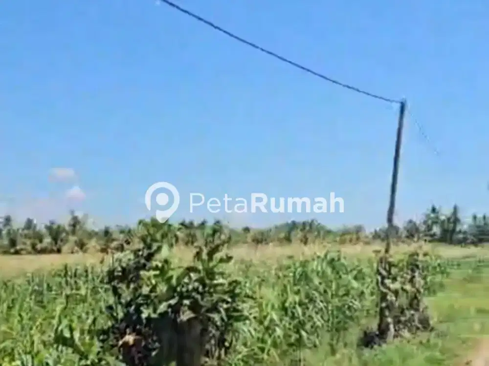DIJUAL TANAH SHM JALAN TEBU - DAERAH NAMORAMBE (DEWI NATALIA)