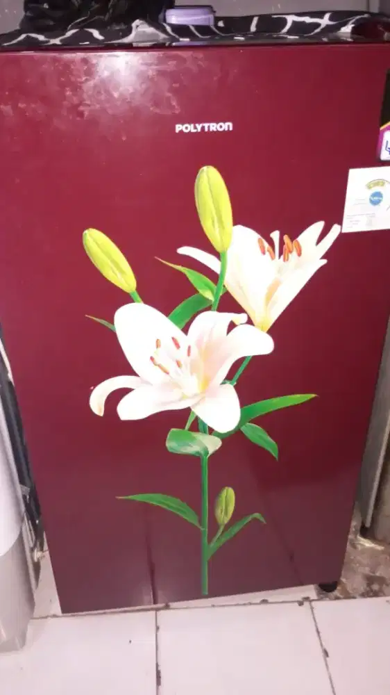 Kulkas Polytron 1 pintu