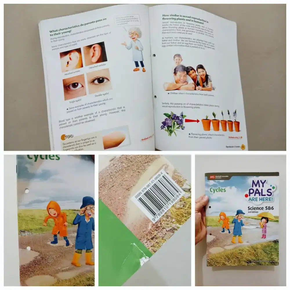 Buku My Pals Are Here Science 5&6 3rd Edition