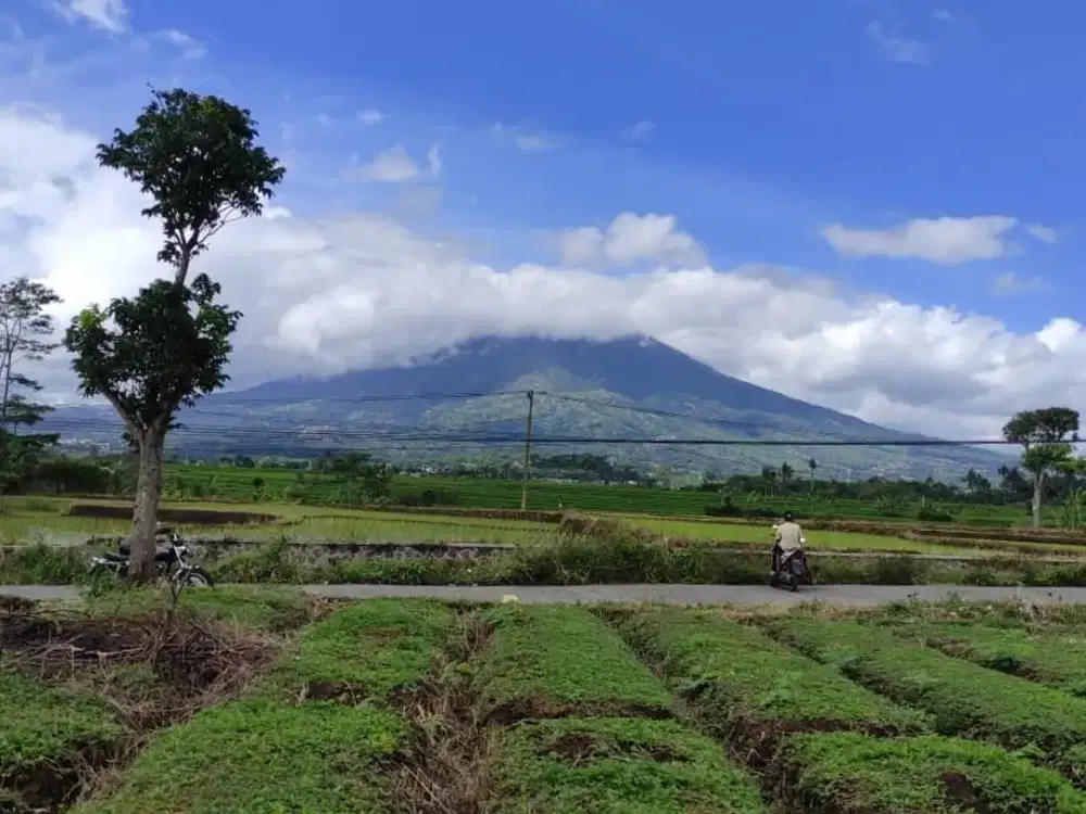 HARGA SPECIAL-Tanah Strategis 36 Tumbak di Cibunar Garut - View Gunung