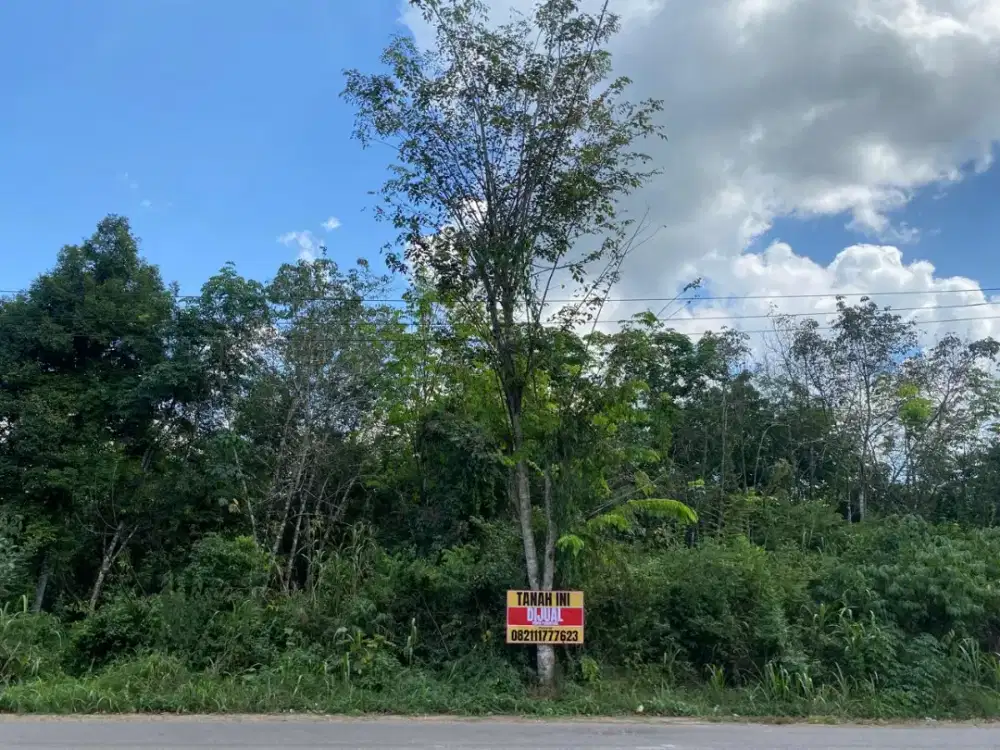 Tanah Dijual Bypass Rantau