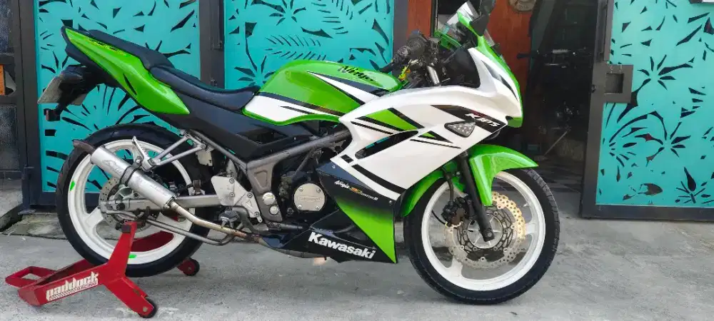 Ninja RR 2013 special anniversary