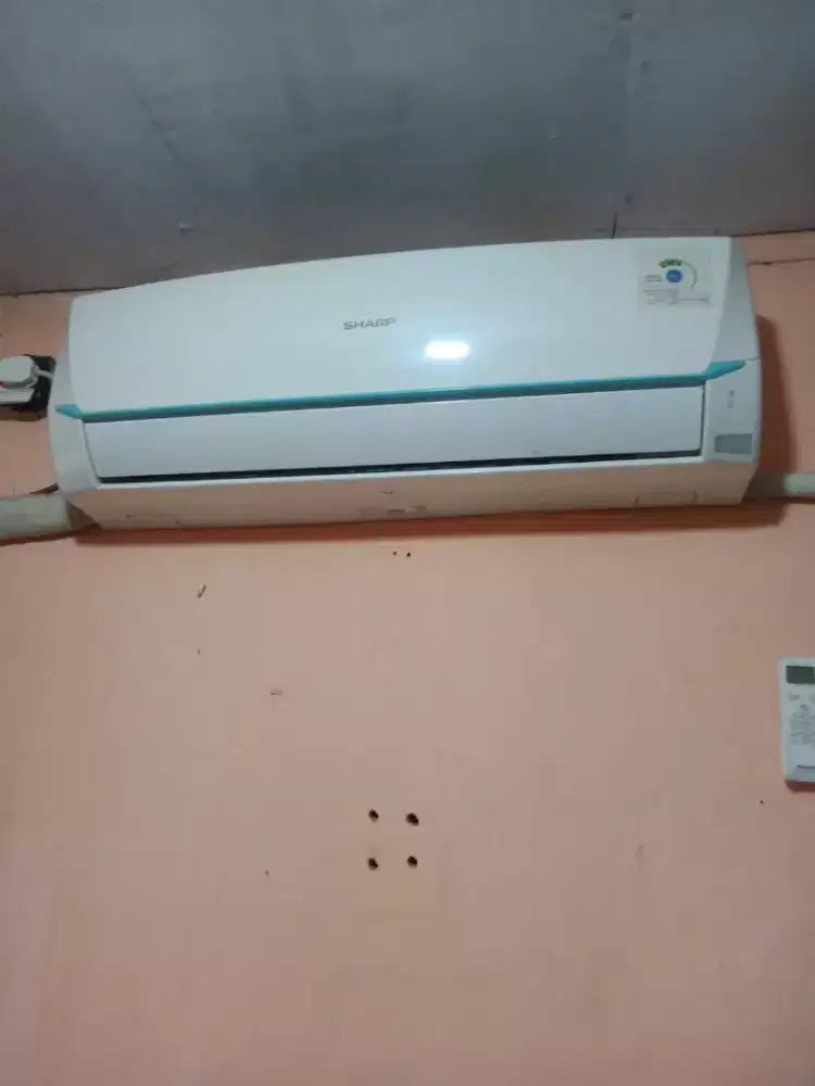 Ac sharp thailand 1/2 pk