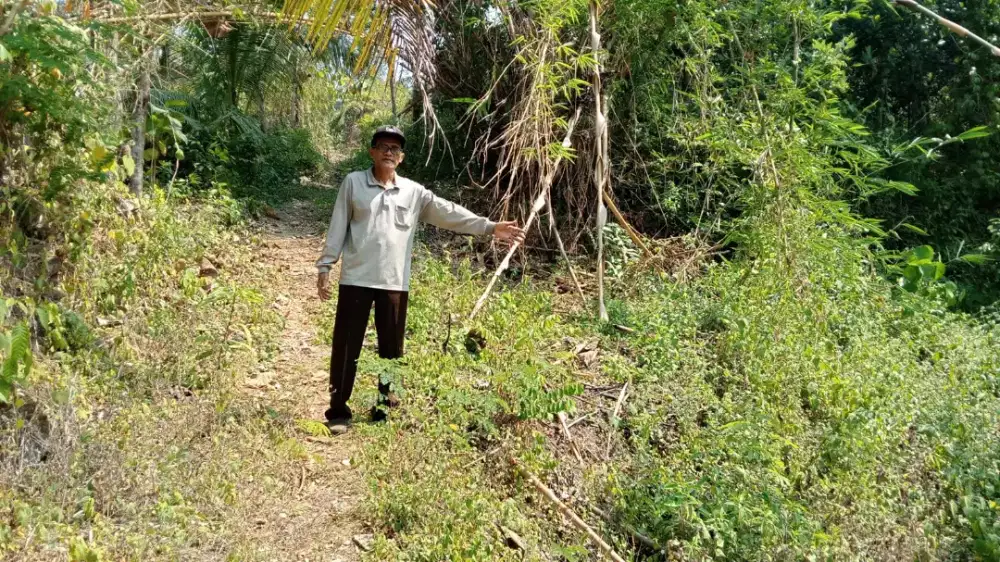 Jual tanah di Pengasih Kp