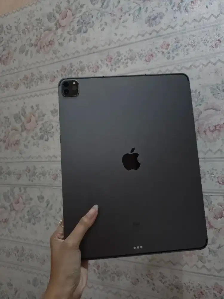 iPad Pro 13 2021 256Gb Celullar inter