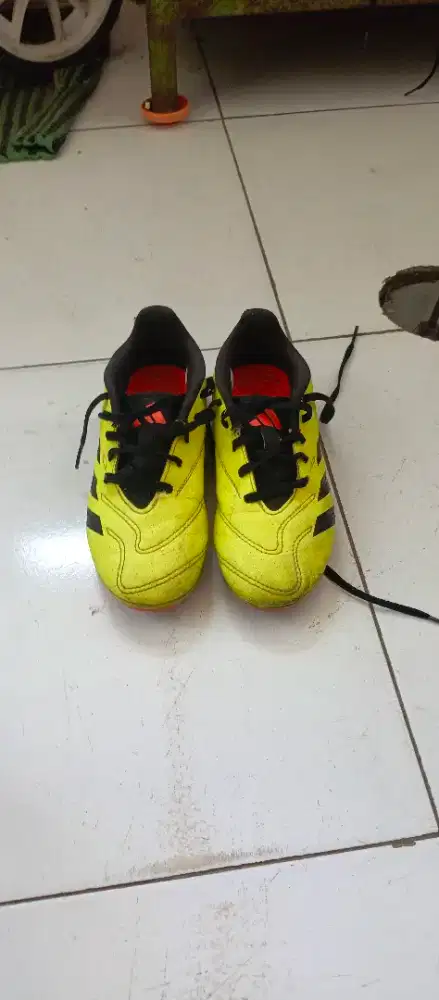 Sepatu bola adidas predator no. 33
