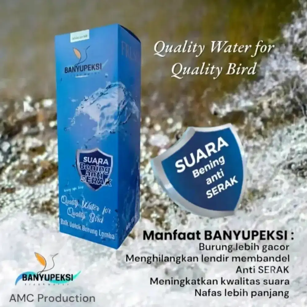 Air minum Banyupeksi untuk burung lomba