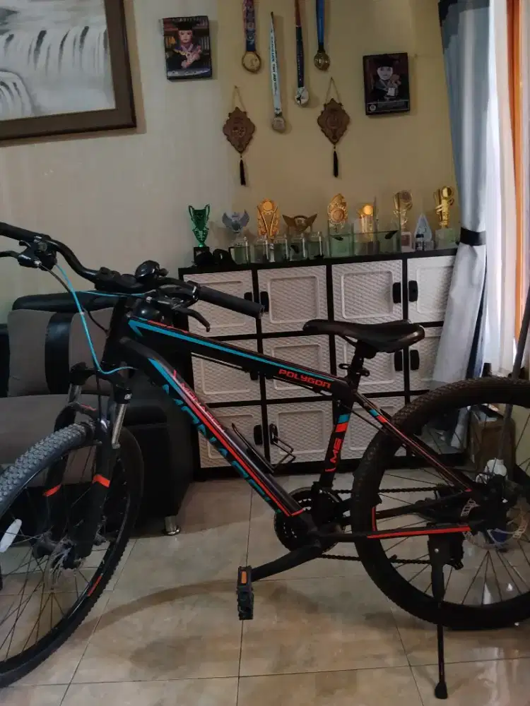 Sepeda Polygon Monarch M5