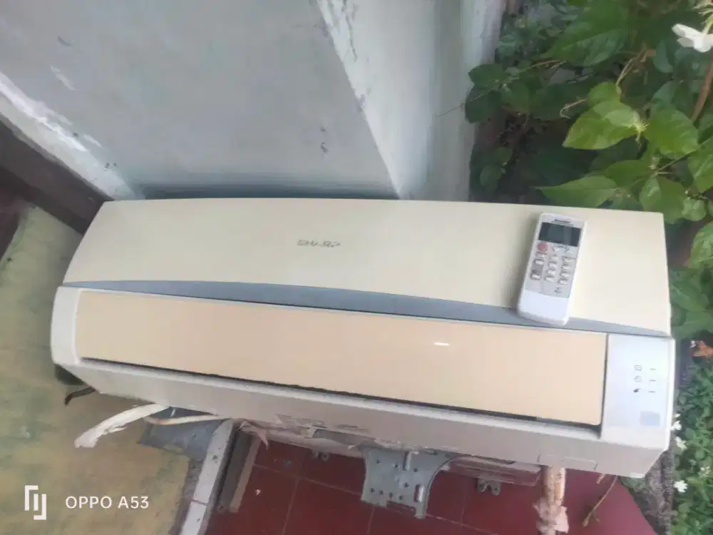 AC Sharp 05pk ori