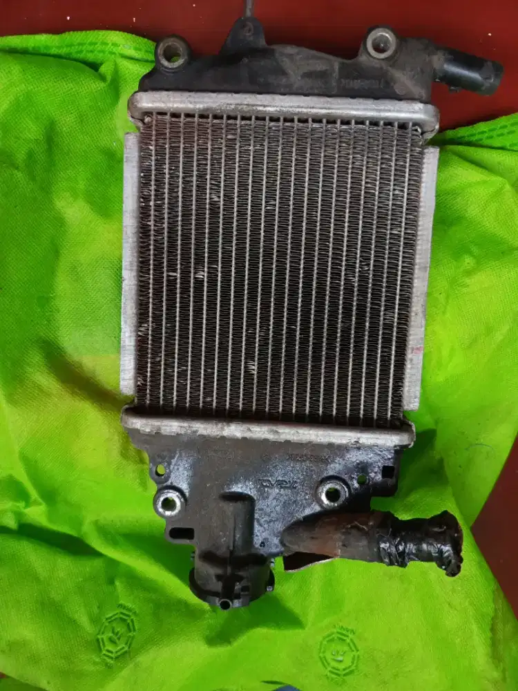Radiator vario 125