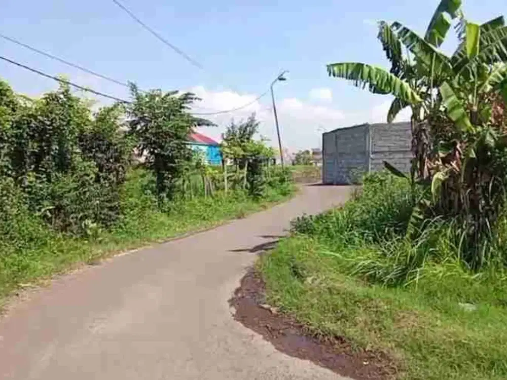 BU! Dijual Tanah Mastrip Probolinggo