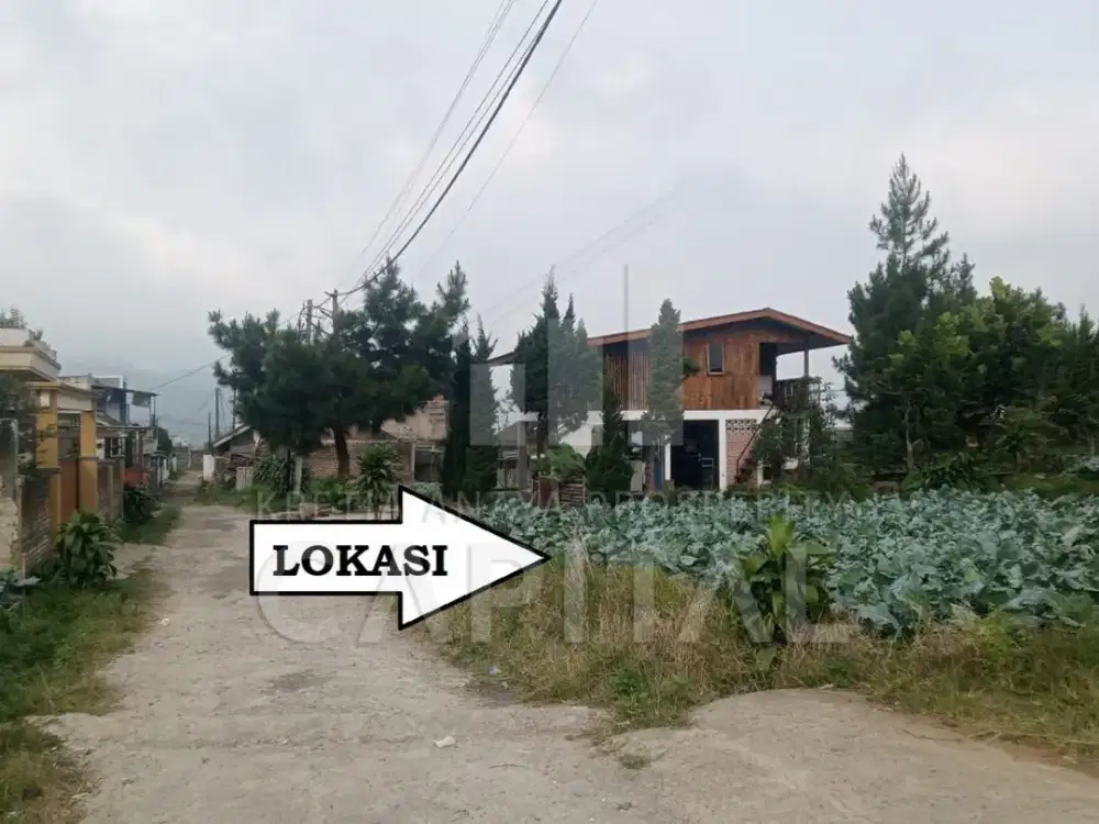 HARGA DIBAWAH PASARAN KAVLING SIAP BANGUN DENGAN AKSES JALAN MUDAH DI CIKOLE LEMBANG