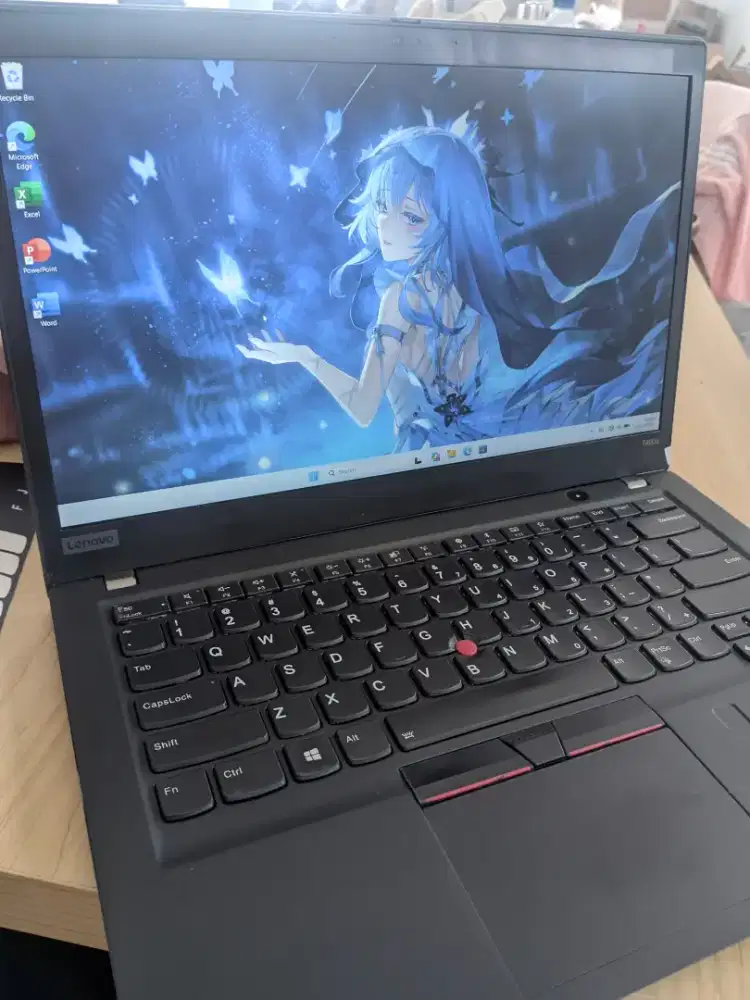 LENOVO THINKPAD T49