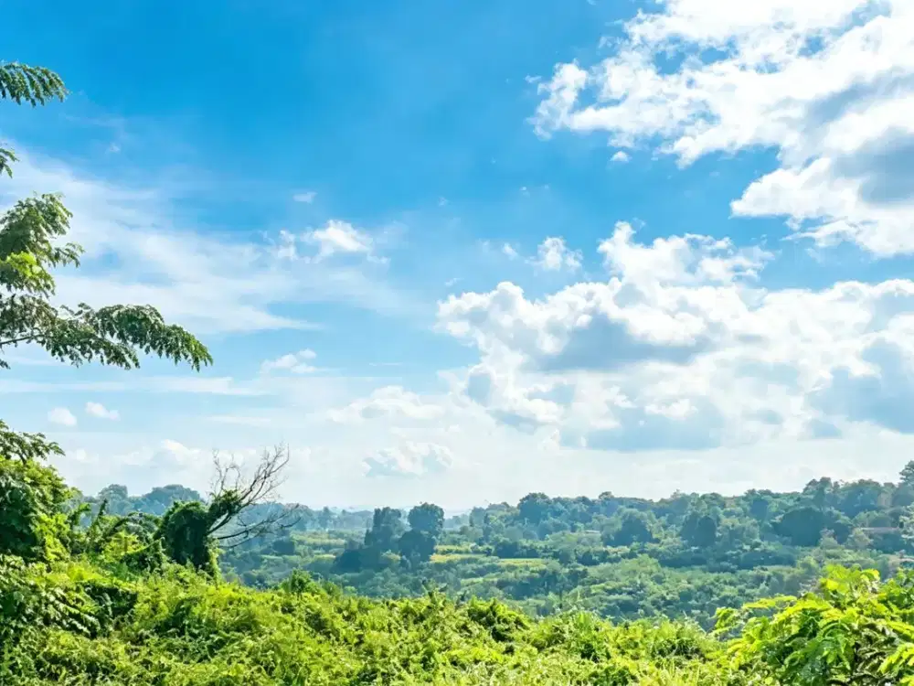DIJUAL Tanah 67 Hektar Karawang – Lokasi Strategis, Potensi Investasi Tinggi
