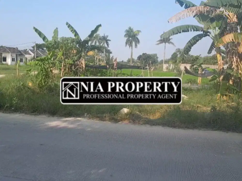 Dijual Cepat Kavling Klapa Nunggal Pinggir Jalan Raya
