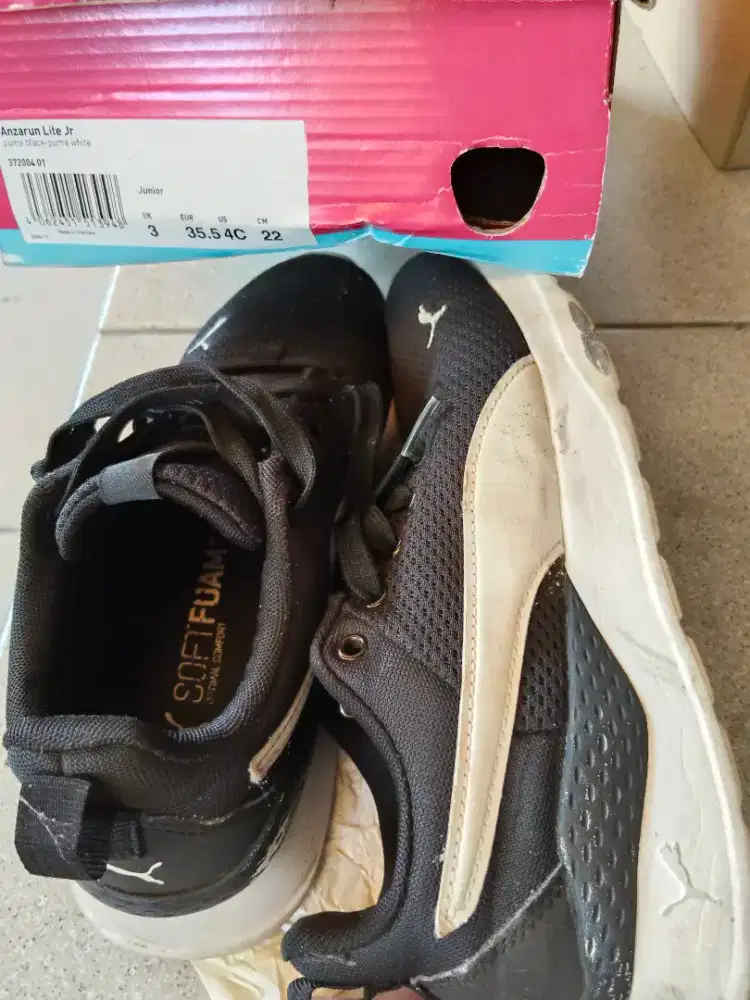 Separu puma hitam