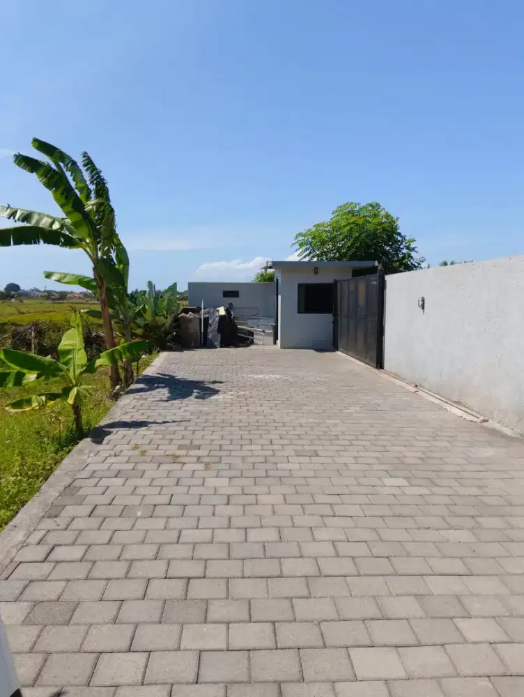 Di kontrakan tanah jalan Tukad Balian , DPS, Bali