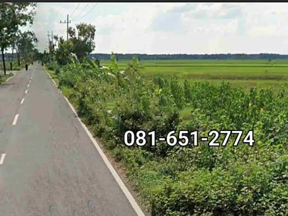 Tanah di Nganjuk Lengkong