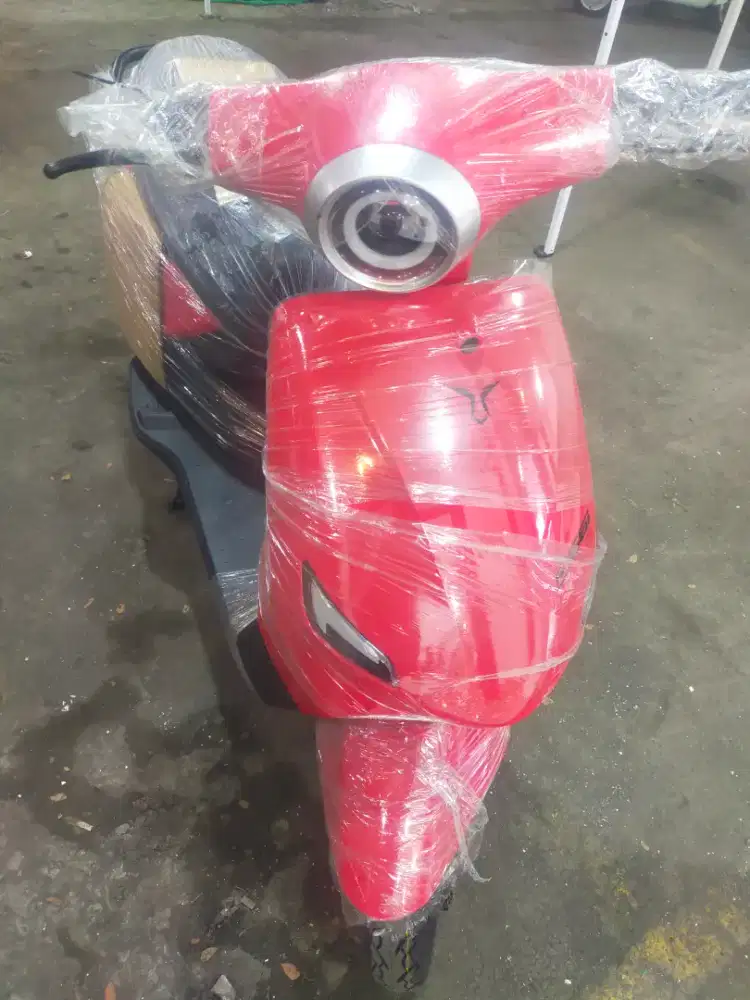 Sepeda listrik D66i