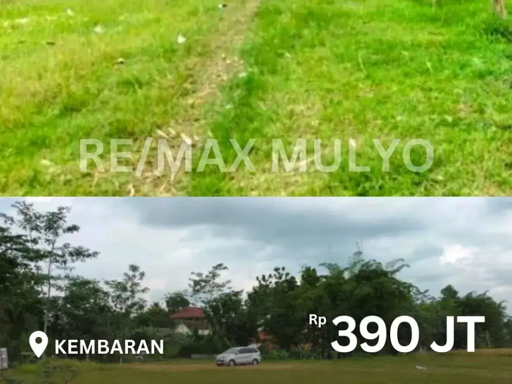 Lahan Kosong DIjual Cocok Untuk Industri atau Hunian Area Kembaran