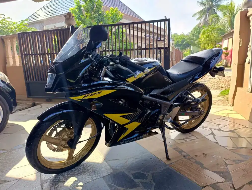 Kawasaki ninja rr new 2014