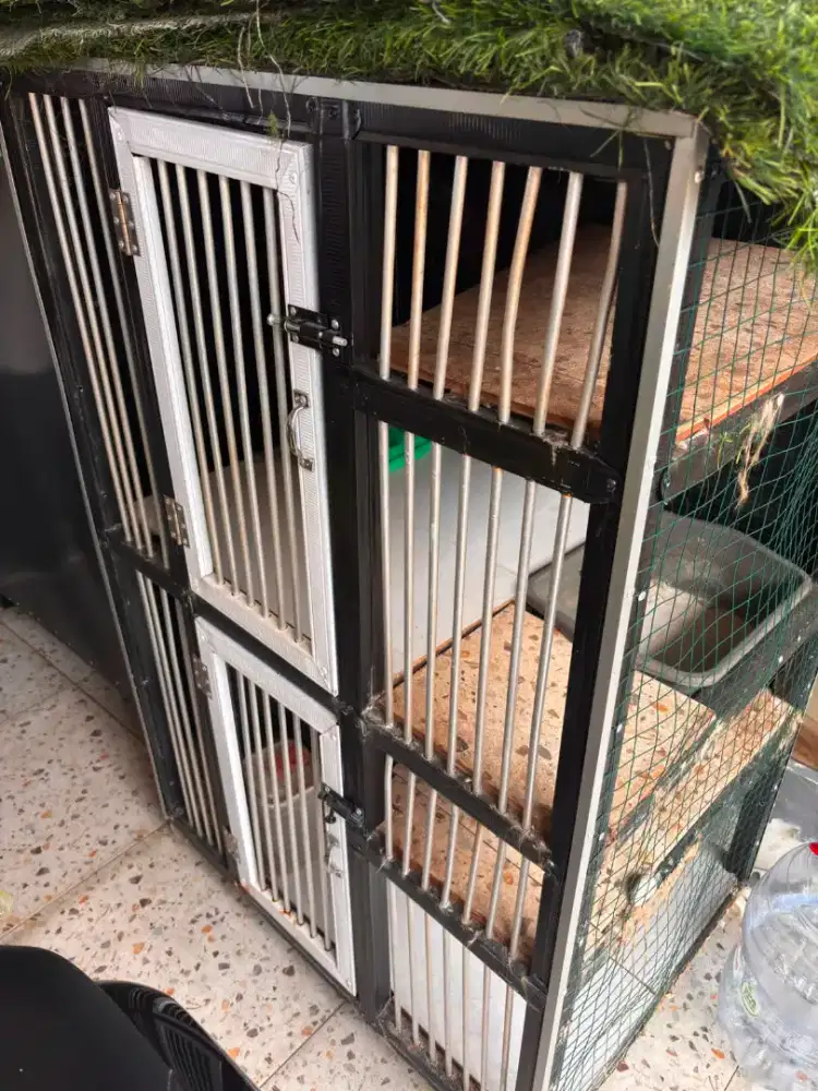 Kandang kucing preloved