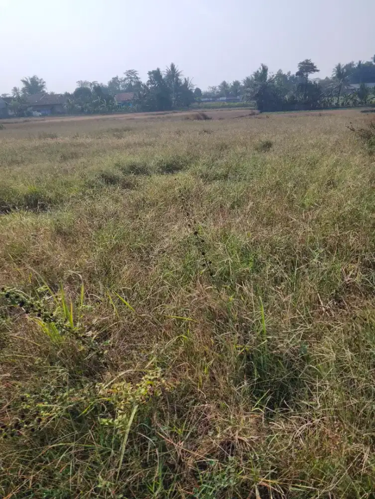 Di jual tanah 1000 meter