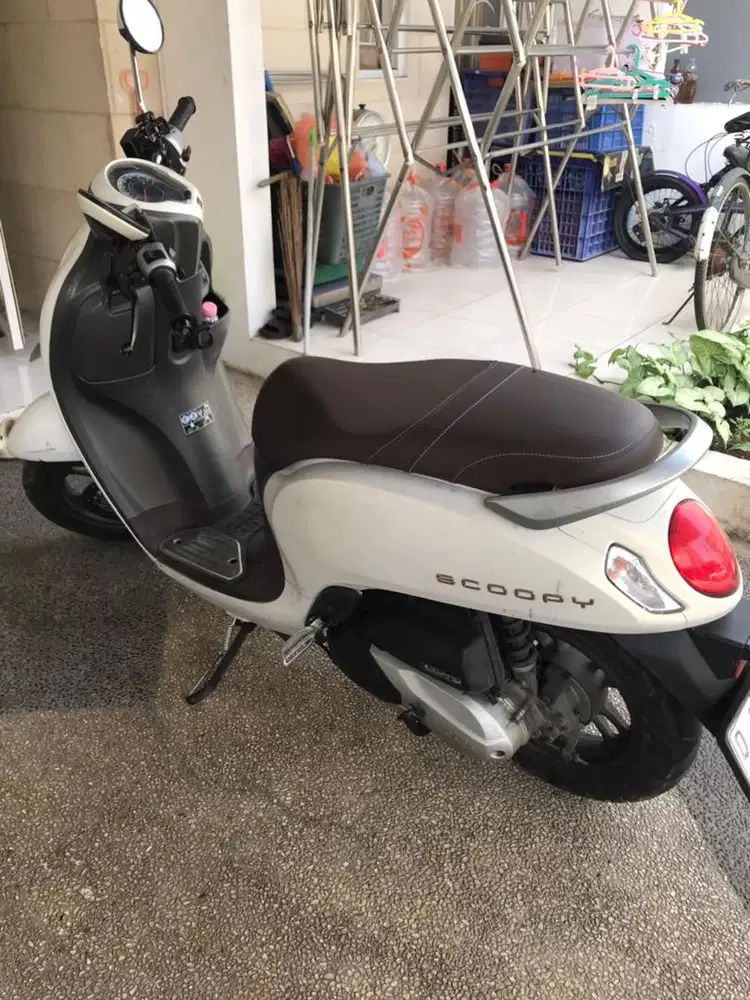 Scoopy Prestige