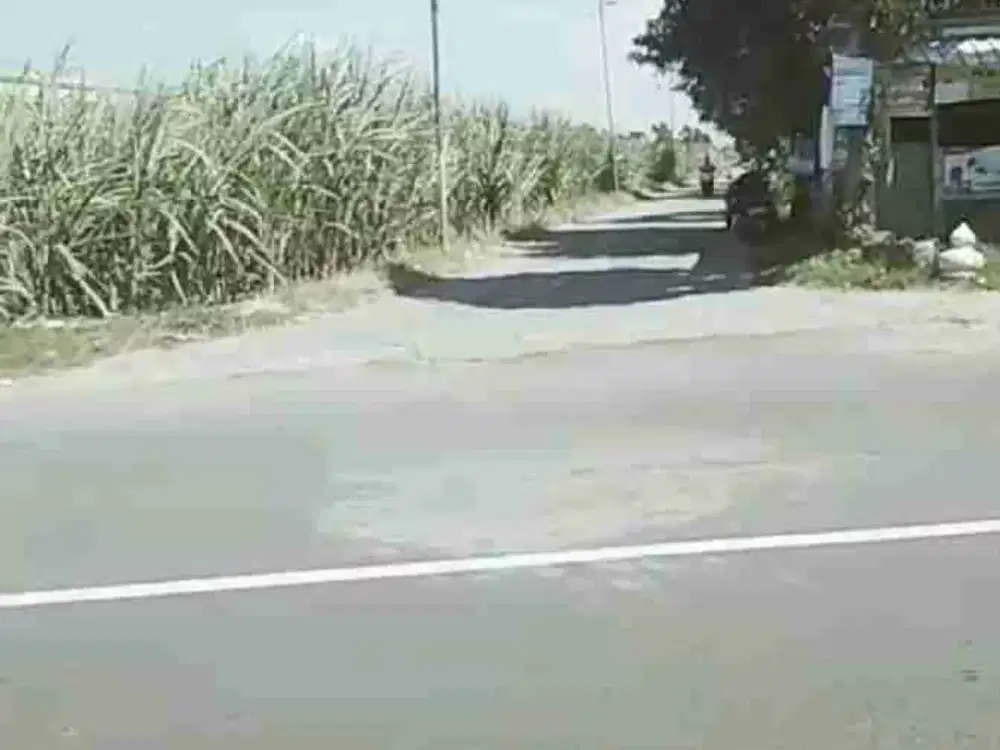 Di jual tanah surodinawan mojokerto