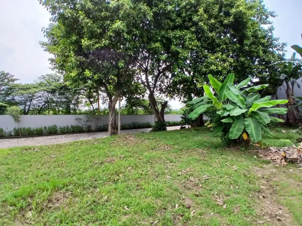 Kavling Langka di Kemang Pratama Bekasi | Luas Hingga 870 m² | Harga Nego