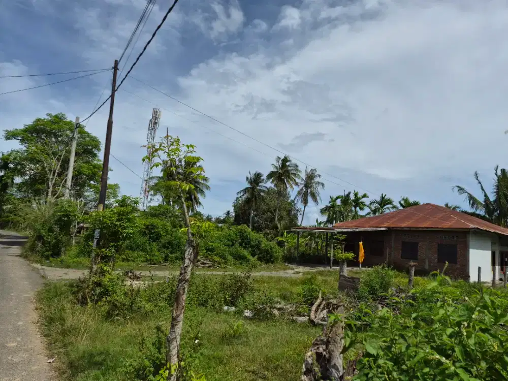 Jual Rumah Kos Beserta Tanah