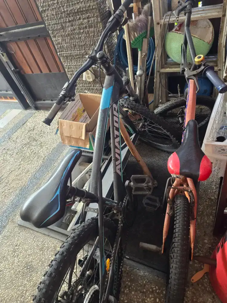 Sepeda aviator 2690XT