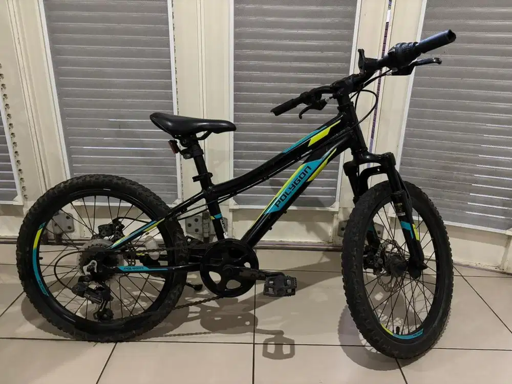 Sepeda anak Polygon Relic