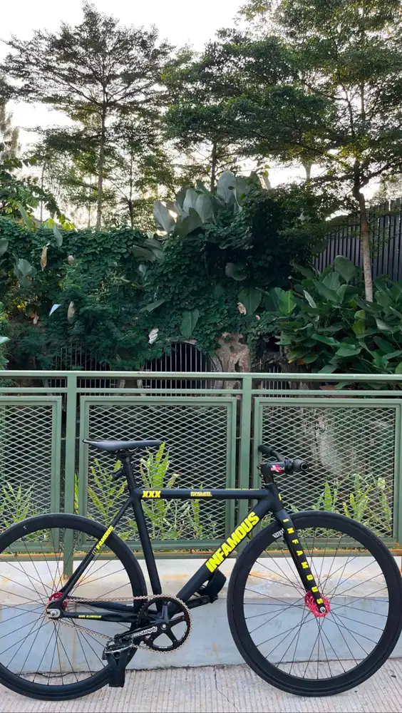 fixie infamous xxx