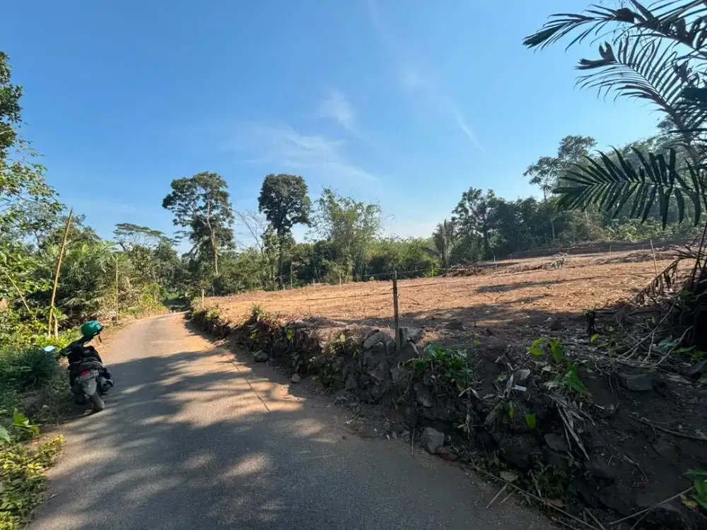 Tanah Jl Kaliurang Jogja Dekat Kopi Klotok Bisa Tempo