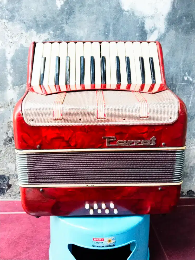 Accordion Parrot Antik