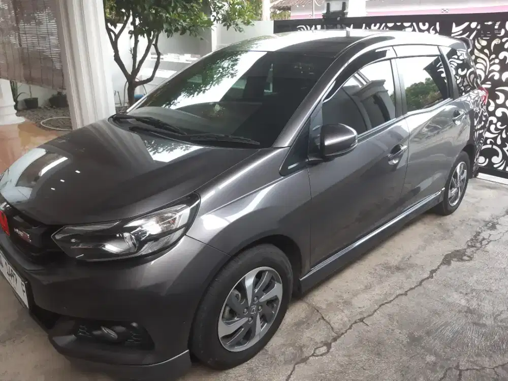 Molbilio e 2020